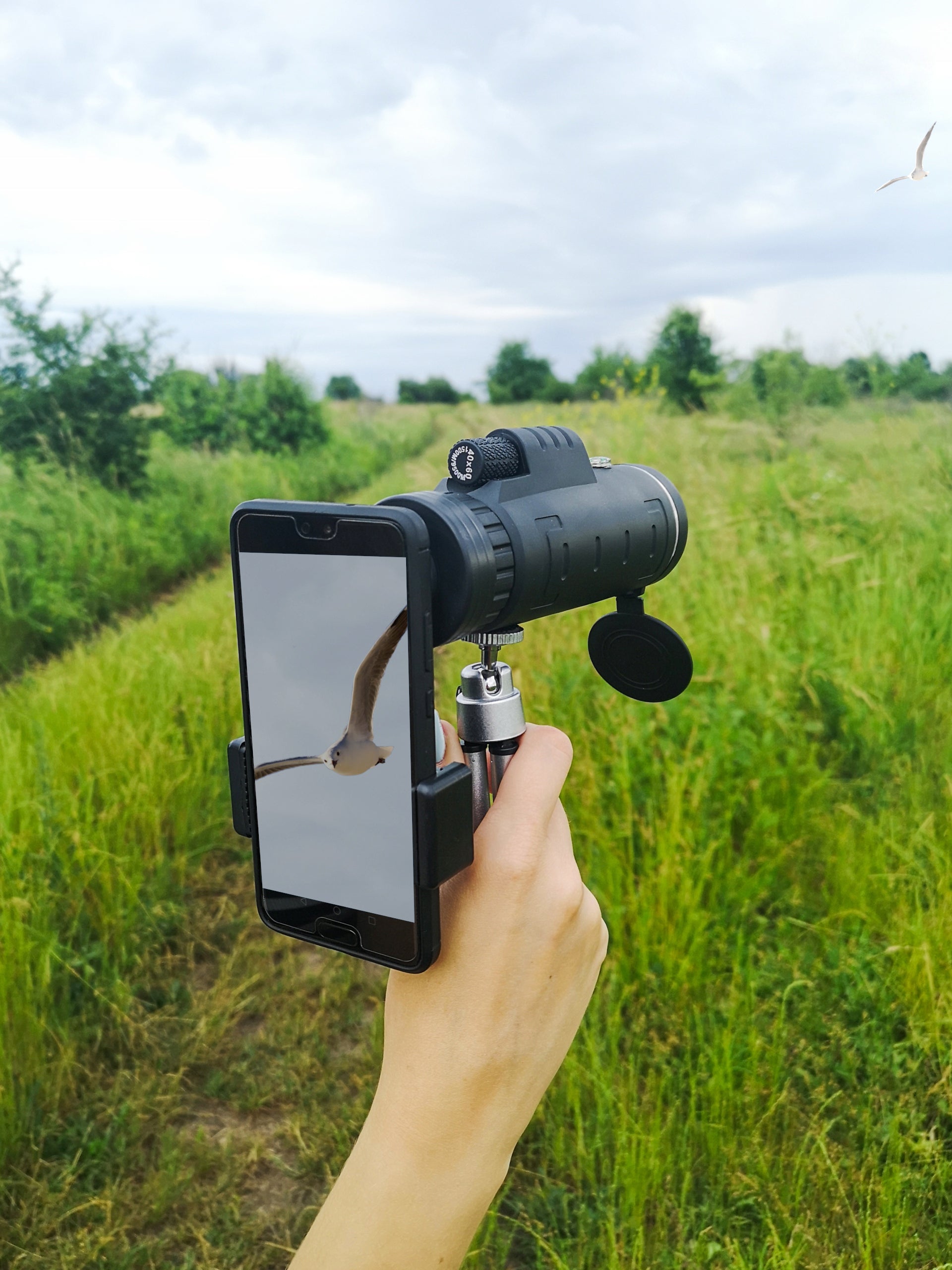 b515e011a26b4b70c1af01e4d00b8ff0 b515e011a26b4b70c1af01e4d00b8ff0